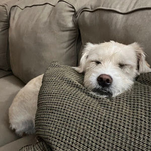 Meet your Posher, Chelsea